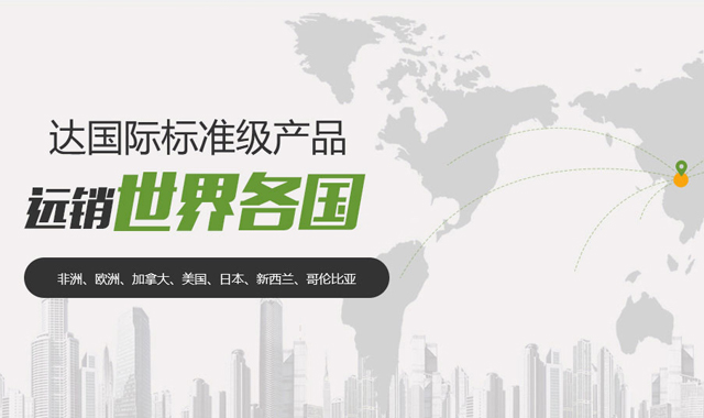痘膜啥久久久久久精品无码中文字幕69，奇幻世界中的魅力征服者
